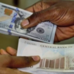 Naira Declines Slightly to N882.24/$1 as Forex Turnover Hits $56.60 Million in Official Market